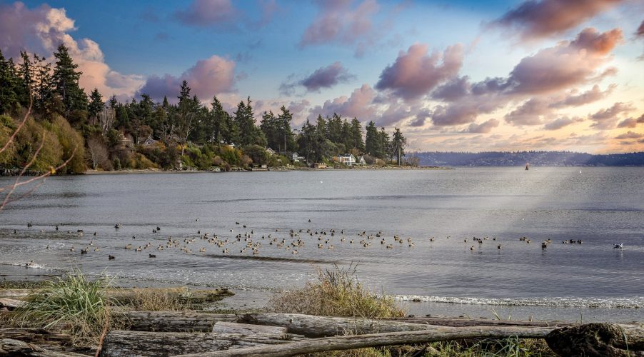 Wing Point Bainbridge Island