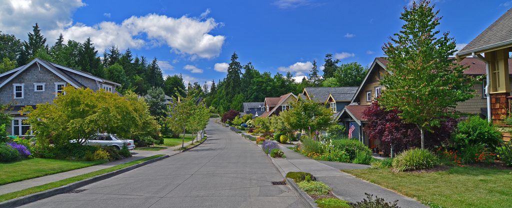 North Town Woods Bainbridge Island