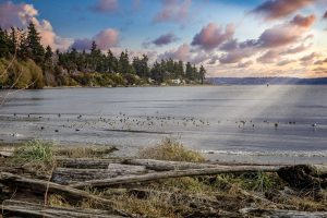 Susan Grosten Windermere Bainbridge