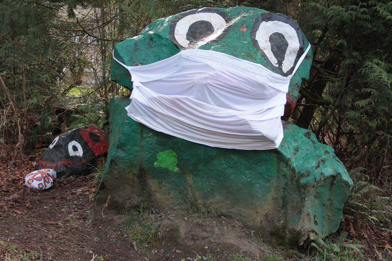 Frog Rock Bainbridge Island